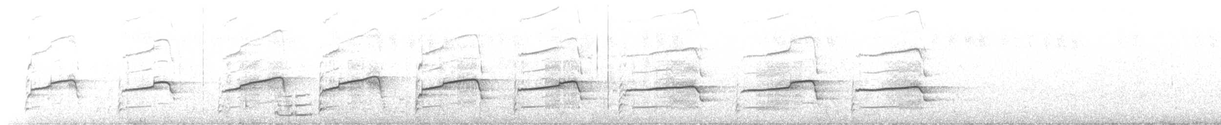 orel bělohlavý - ML599711741