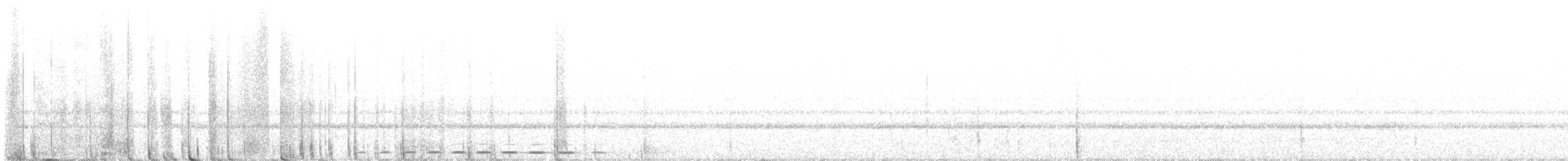 Усатая совка - ML599749031