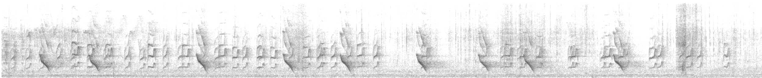 Plush-crested Jay - ML599764251