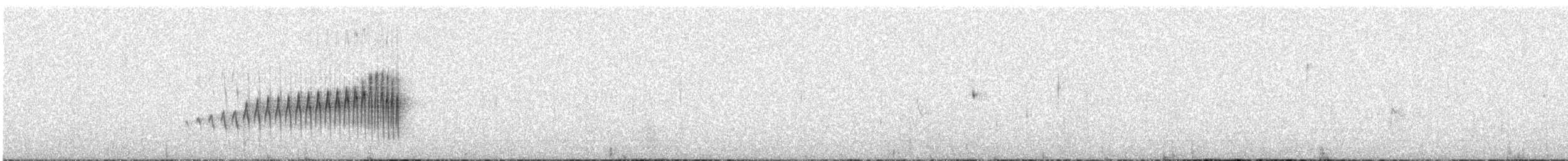 Synallaxe de Wyatt (groupe sclateri) - ML599768571