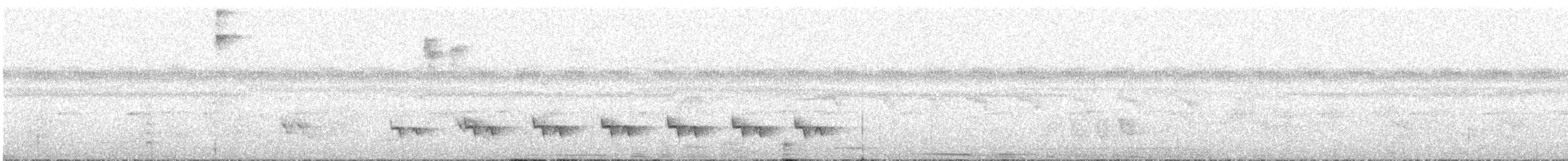 Stripe-chested Antwren - ML599784311