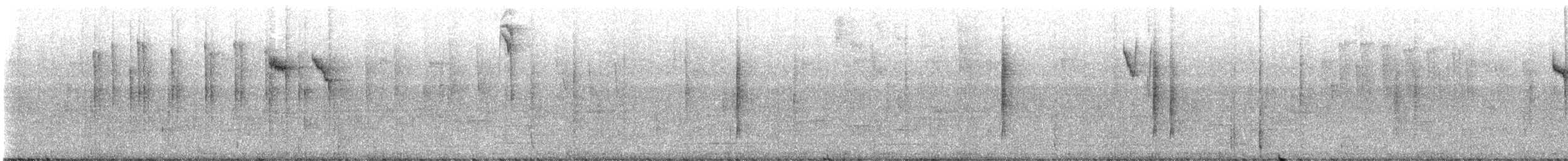 Зелёный колибри-отшельник - ML599793751