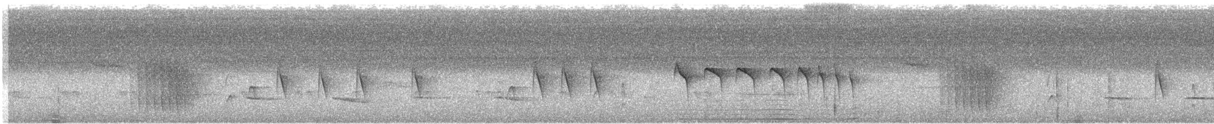 Tropfenflügel-Ameisenfänger - ML599797201