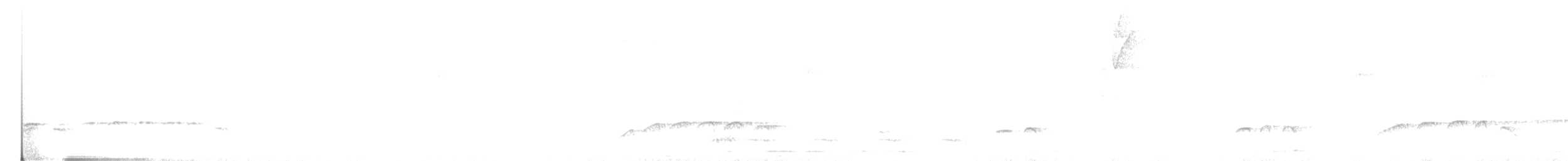 Weißbart-Ameisenwürger - ML599809571