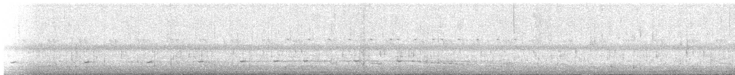 Tinamou à petit bec - ML599818901