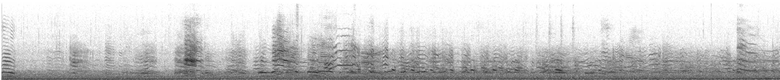 Kelp Gull (dominicanus) - ML599868971