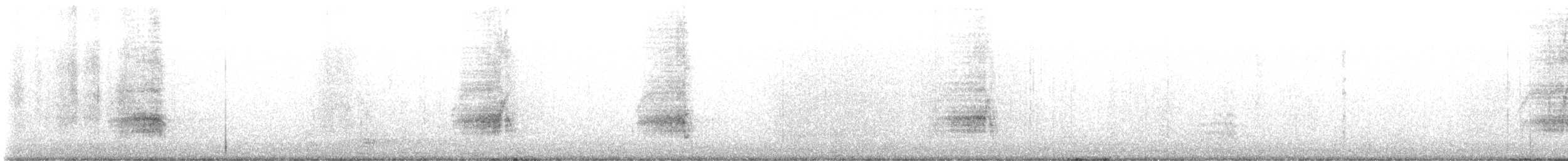 Сипуха крапчаста - ML599899491