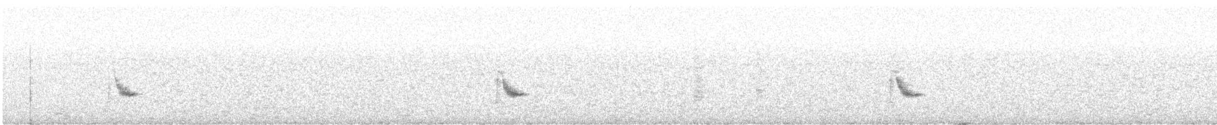 Пестрогорлый соловьиный дрозд - ML599929551