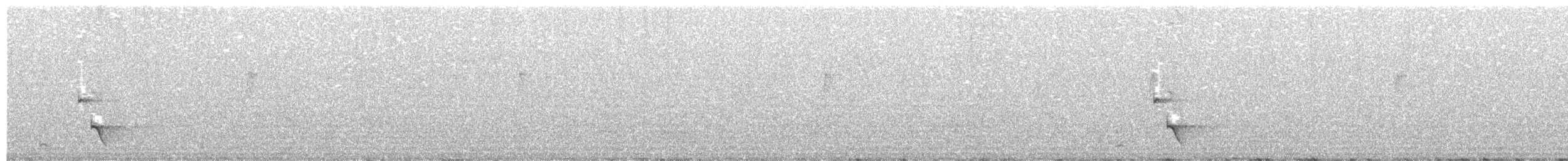 Buff-sided Robin - ML599935381
