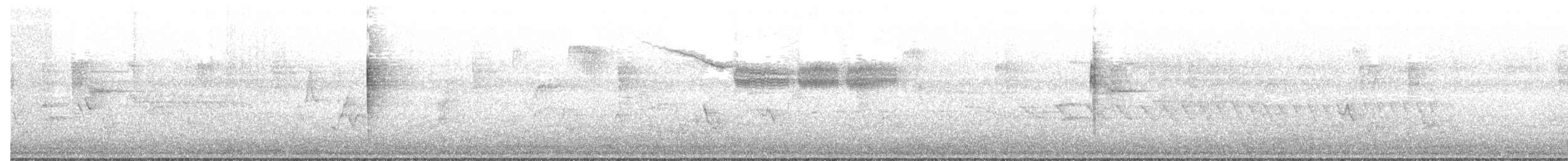 Голубокрылая червеедка - ML59993641