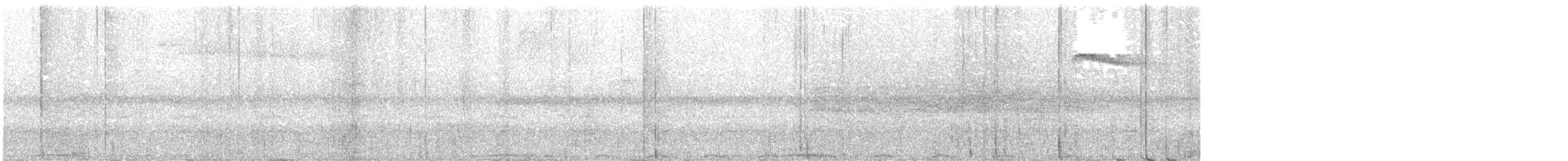 holub hnědořitý - ML599939351