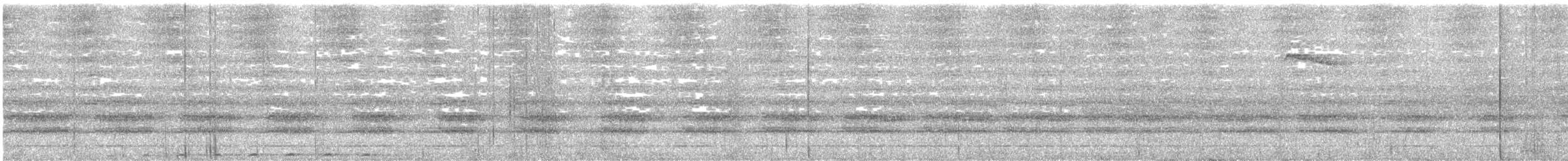 Sulawesifruchttaube - ML599939361