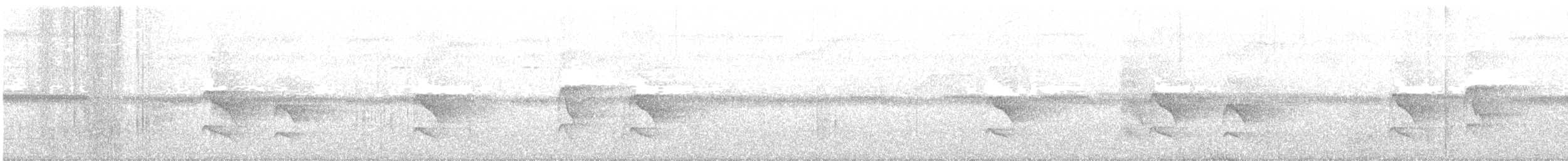 svarthvitlarveeter - ML599939601