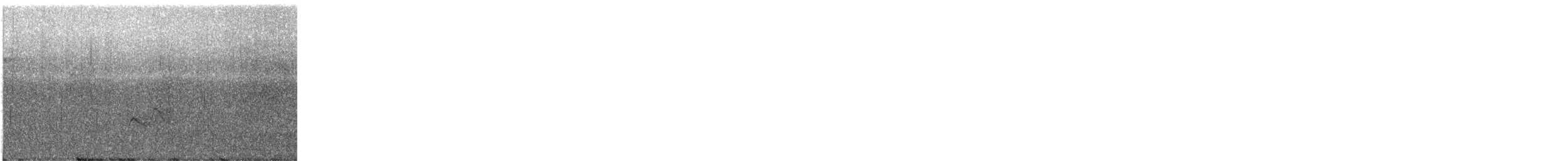 Moucherolle ocré - ML599952901