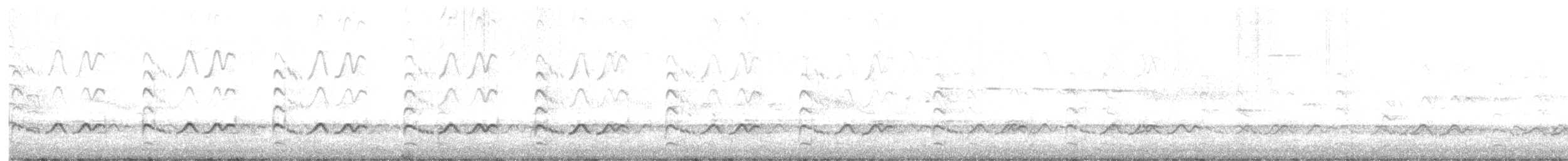 Schlammtreter (semipalmata) - ML599961421