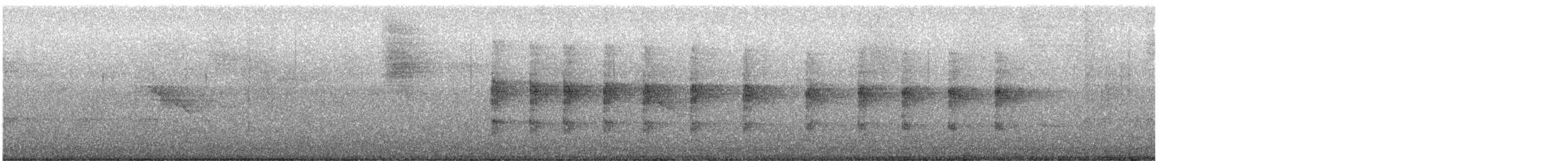 Microtyran chevelu - ML599990051