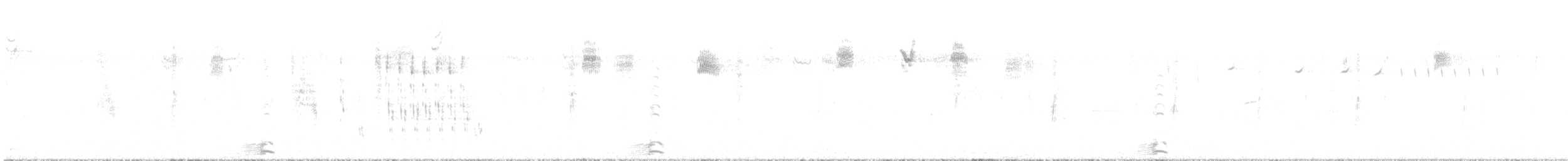 Troglodyte des marais - ML600016991
