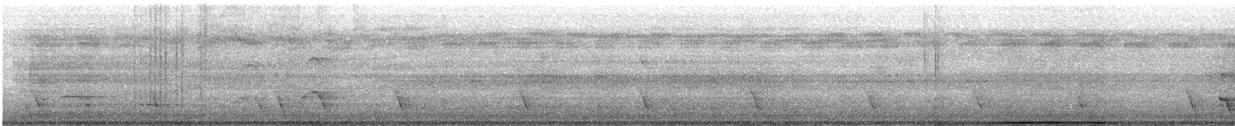 Carpophage pacifique - ML600017121