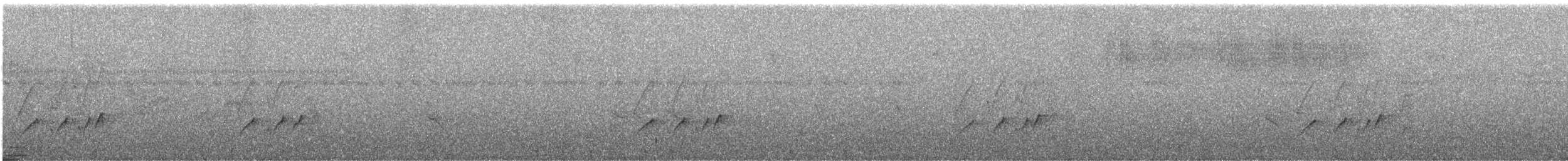 Тиран-крихітка темноголовий - ML600019141
