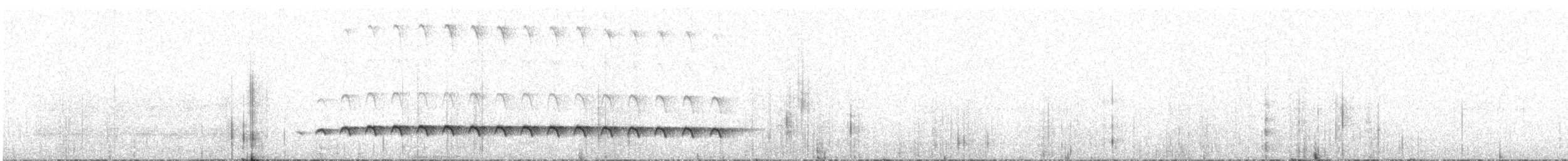 Western Fire-eye - ML600040001