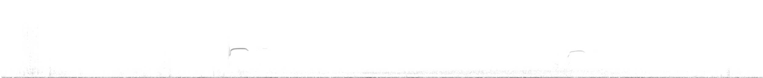 Tinamou orné - ML600092161
