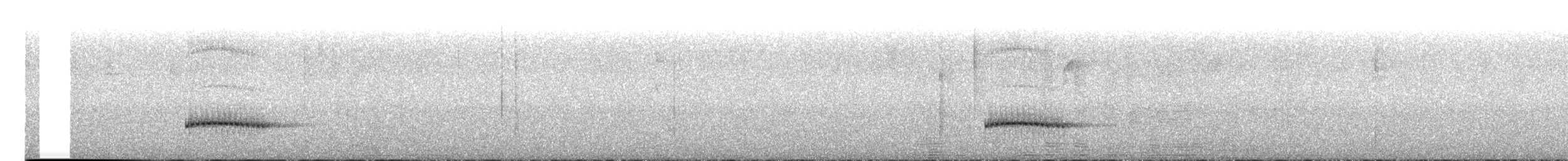 Grallaire de la Perija - ML600096521