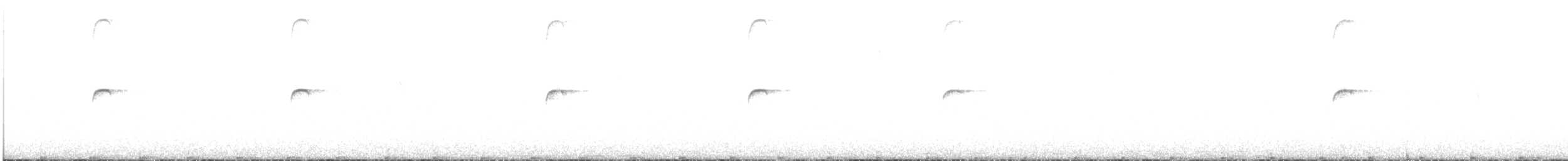 Colibri géant - ML600100361