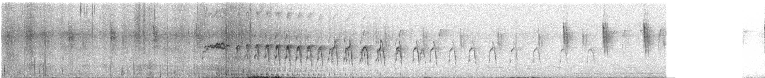 Tinamou curvirostre - ML600117121