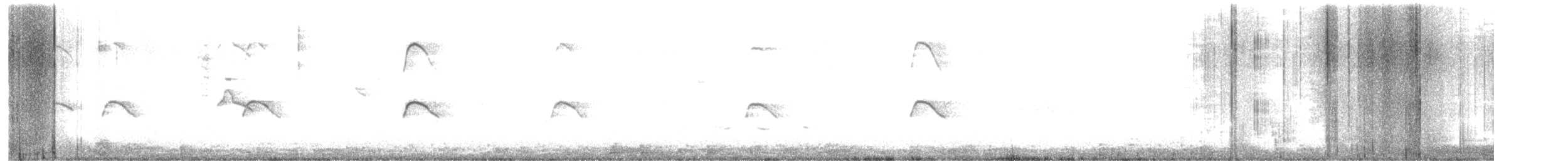 Aguilucho Lagunero del Pacífico - ML600123661
