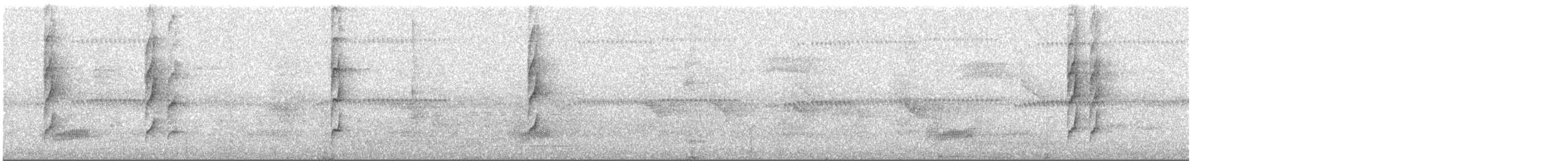 White-throated Spadebill (Eastern) - ML600123851