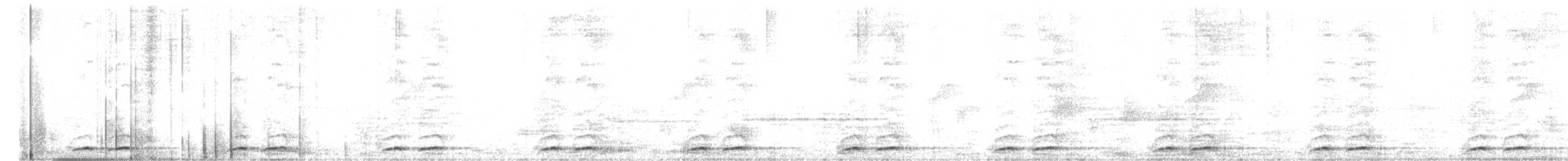シロボシオオゴシキドリ - ML600125031