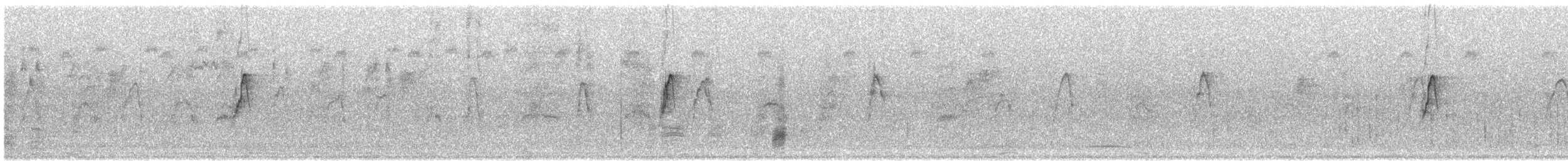 tyranovec žlutobřichý - ML600141321