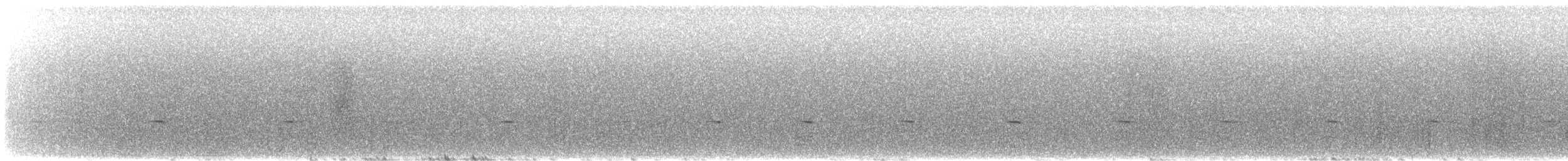 ハエトリツグミ - ML600152761