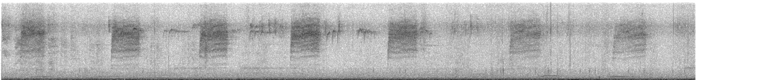 Troglodyte de Bewick - ML600154821