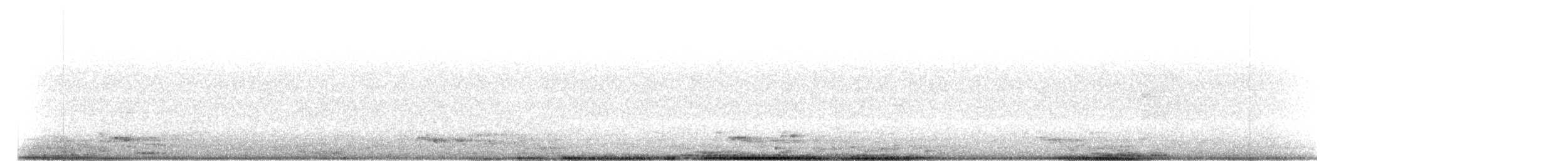 Carolinanachtschwalbe - ML60015941