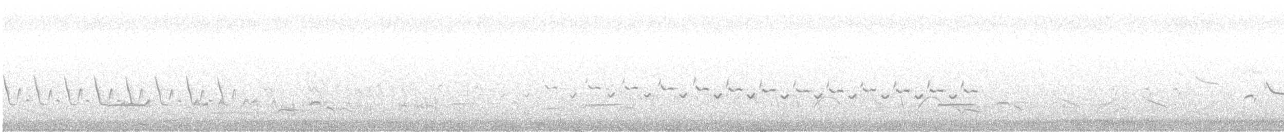 Серый сорокопут - ML600159991