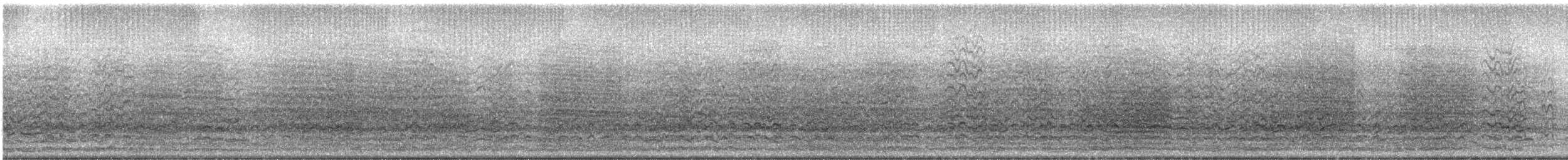 Гологлазый какаду - ML600161721