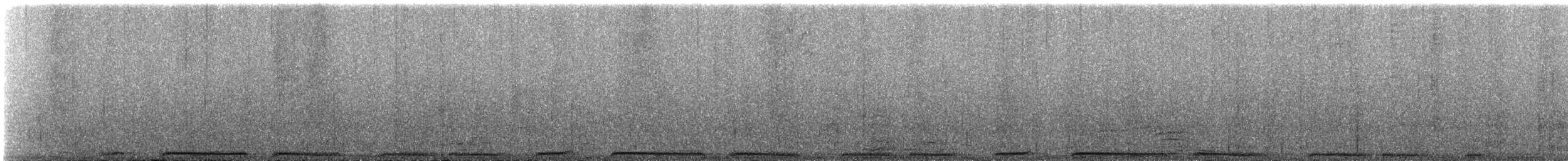 יונת ענק (קבוצה לבנת-צוואר) - ML600166261
