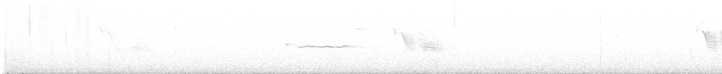 Ширококрылый канюк - ML600173861