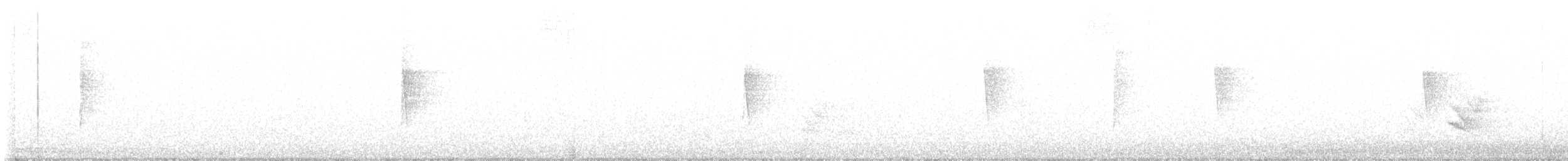 svartbrystparula - ML600174101