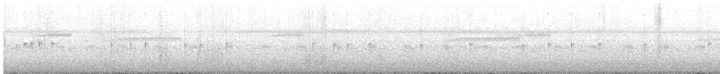 Schwarzstirn-Regenpfeifer - ML600188271