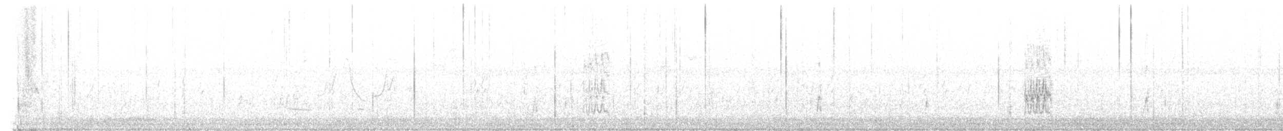 Great-tailed Grackle - ML600191711