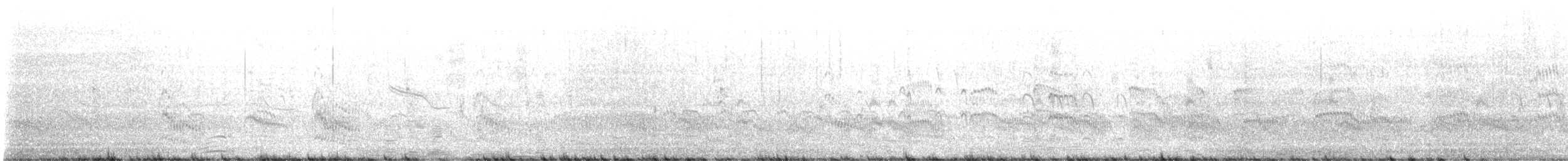 Forster's Tern - ML600202551