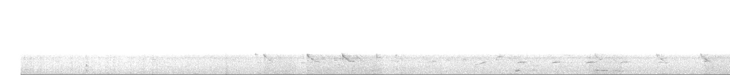 Белокрылая горлица - ML60020781