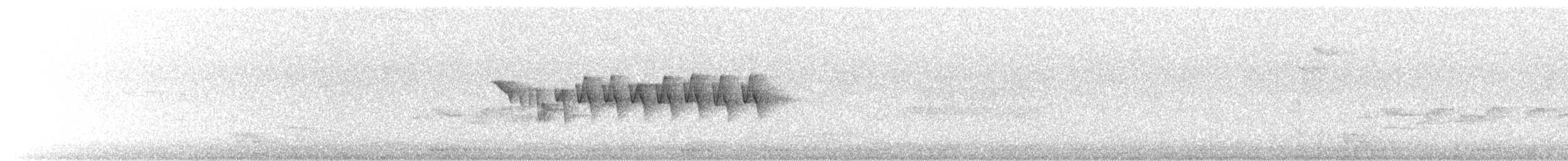 Bar-tailed Treecreeper - ML600224301