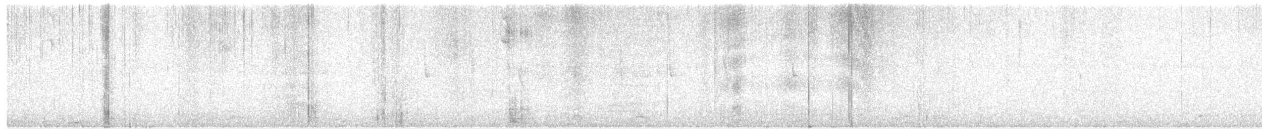 Colibri à ventre blanc - ML600252711