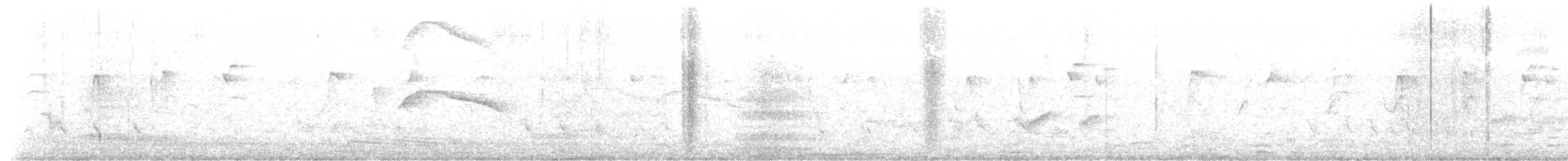 White-tailed Nightjar - ML600253871