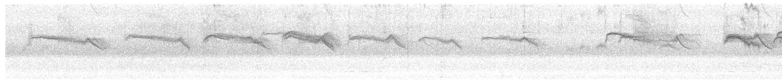 Einfarbsegler - ML600254001