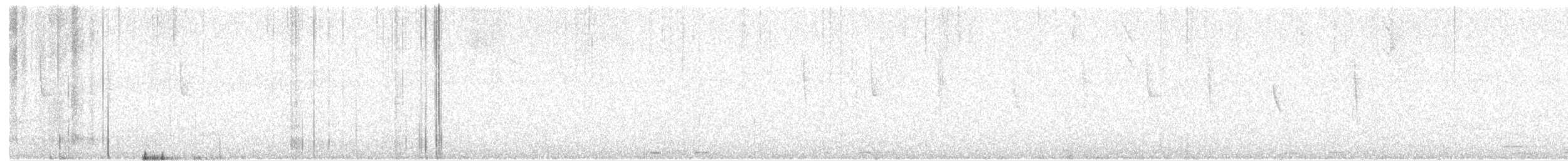 White-vented Violetear - ML600254781