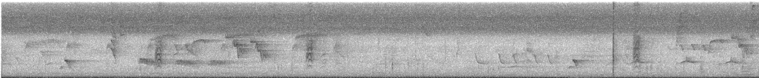 Graubrust-Ameisendrossel - ML600287331